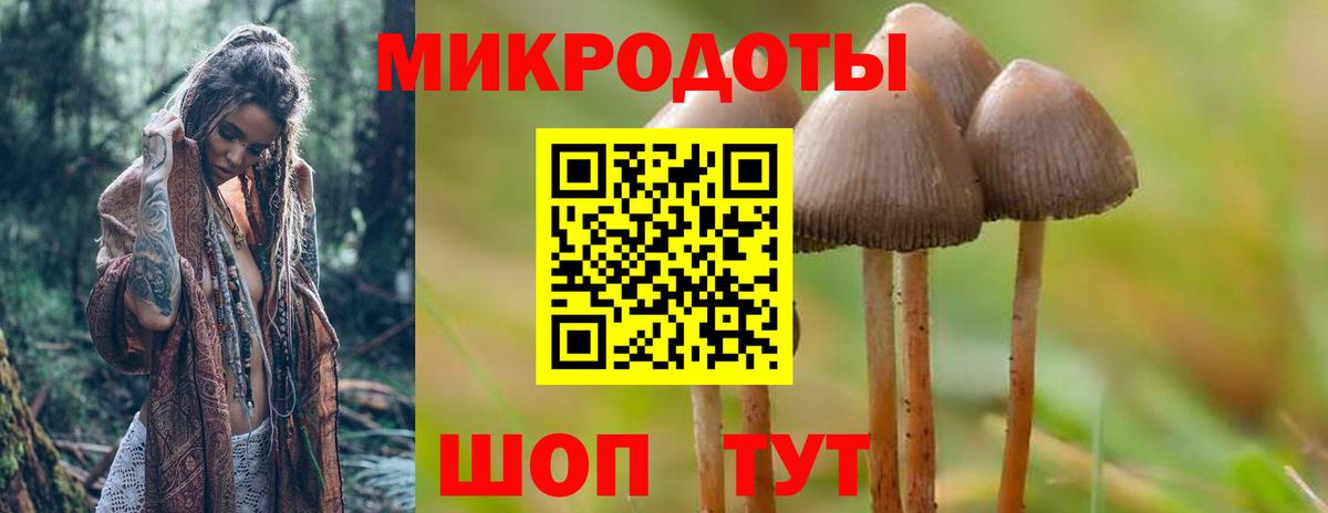 Псилоцибиновые грибы GOLDEN TEACHER  наркота  Псилоцибиновые грибы Psilocybine cubensis  Сегежа  Вход с VPN 