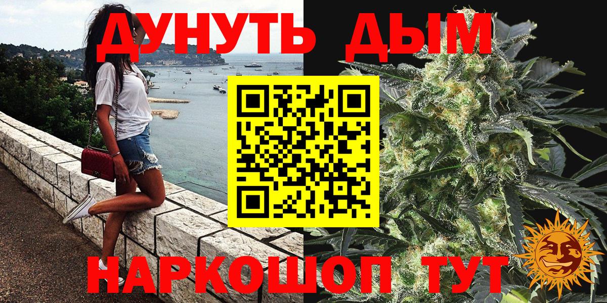 Бошки Шишки гибрид Сегежа
